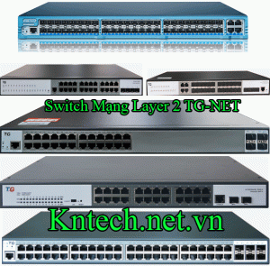 ha-tang-switch-mang-layer-2-tg-net