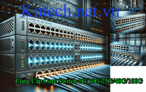 cung-cap-core-switch-mang-1g-10g-25g-40g-100g