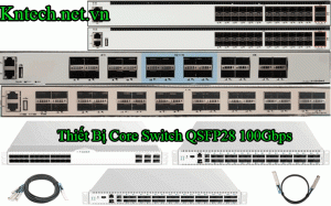 core-switch-100gbps