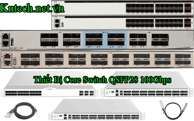 core-switch-100gbps